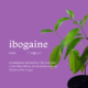 Ibogaine what is it